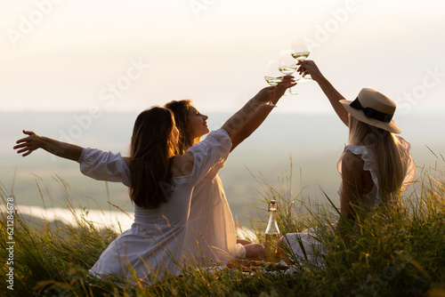 Obraz na płótnie Group of girlfriends outside have fun together toasting with wine glasses at sunset at summer picnic. Cheerful people laugh and joke. w salonie