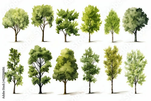 Collection of Beautiful Trimmed Urban Trees Isolated on White Background. Generative ai