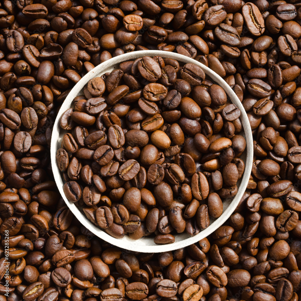 Fototapeta premium Selected Arabica coffee beans.