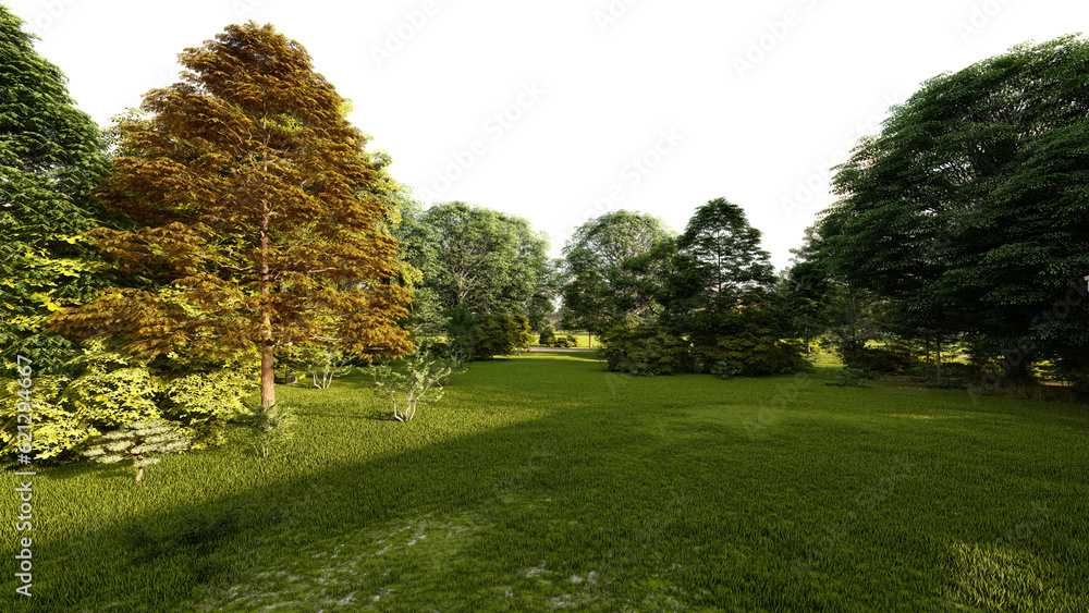 Green park transparent background. 3D rendering (3)