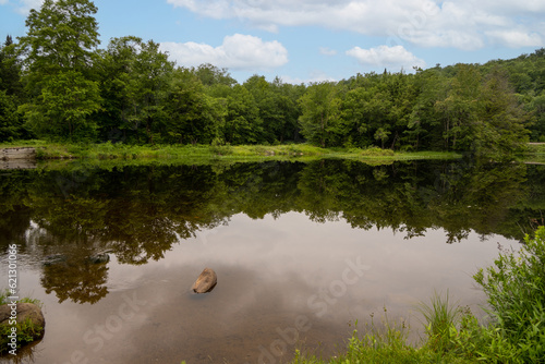 Adirondack Pool
