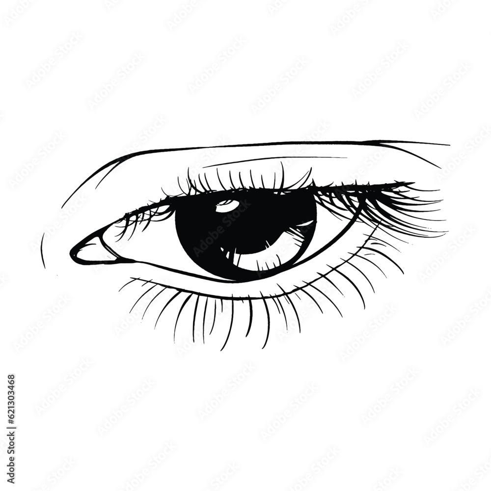 Beautiful hand drawn sketch eye vector illustration line art Beautiful hand drawn sketch eye vector illustration line art