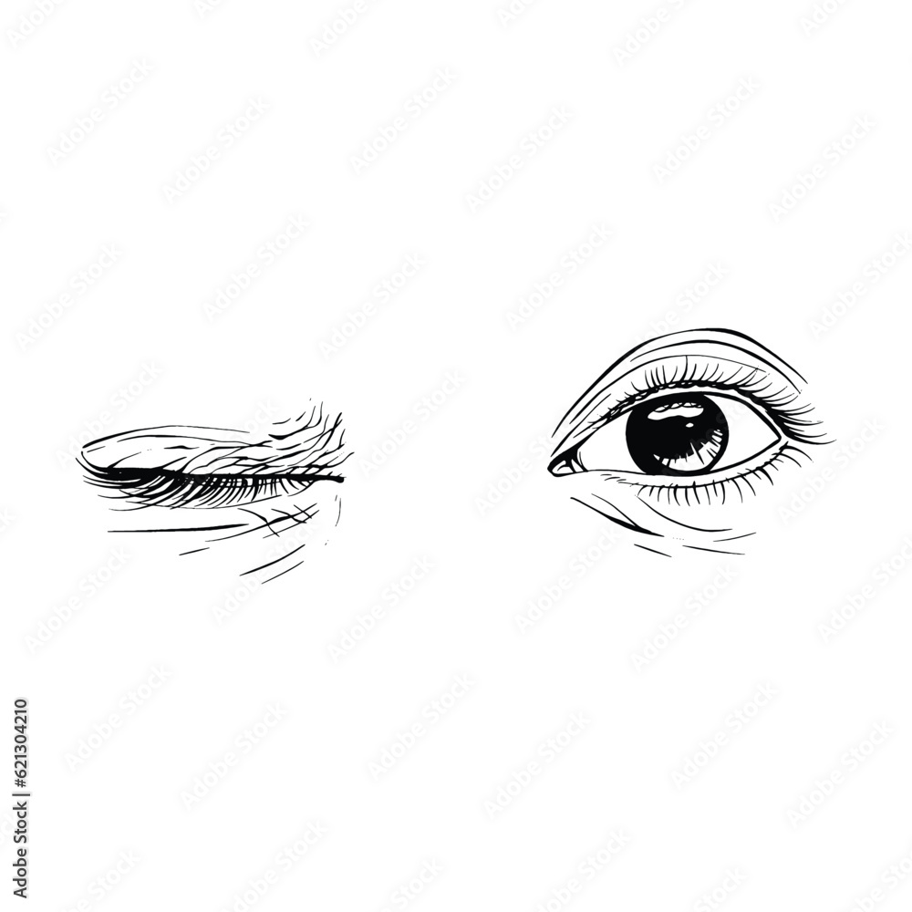 Obraz premium Beautiful hand drawn sketch female eyes vector illustration line art