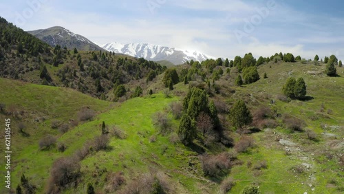Flying forward over mountainous wooded meadows to a mountain peak in the distance. Kyrgyzstan, Tianshan, 4k aerial footage