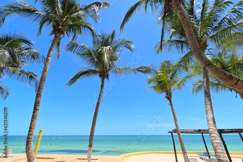 Horizon from the Beach and palm trees  Merida  Yucatan  Mexico 