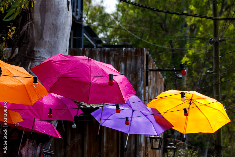 hanging umbrellas in the park