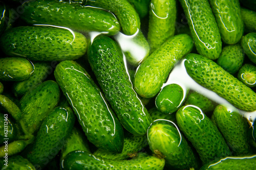 Cucumbers in water. The process of pickling cucumbers.