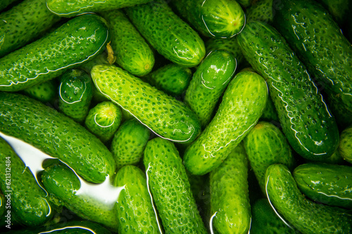 Cucumbers in water. The process of pickling cucumbers.
