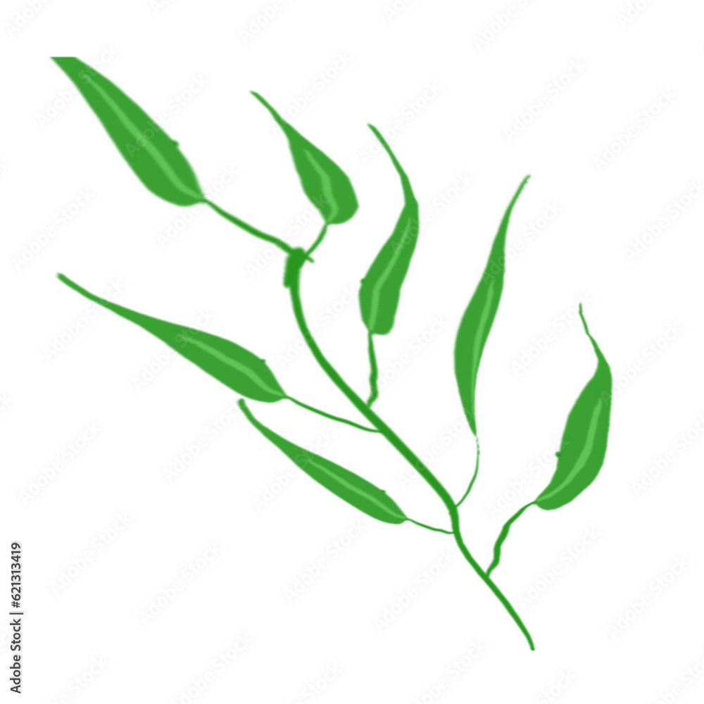 Bamboo Leaves Bamboo Leaves