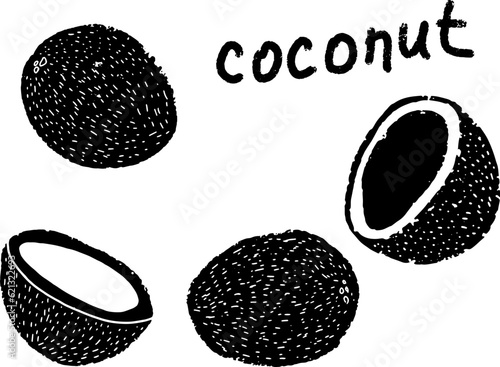 Coconut stylized exotic fruit. Hand-drawn illustration in linocut style. Black vector element for design