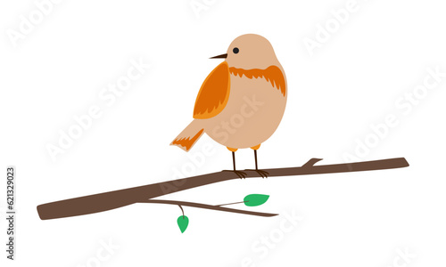 Cute robin bird on branch. Vector illustration. Isolated on white background.