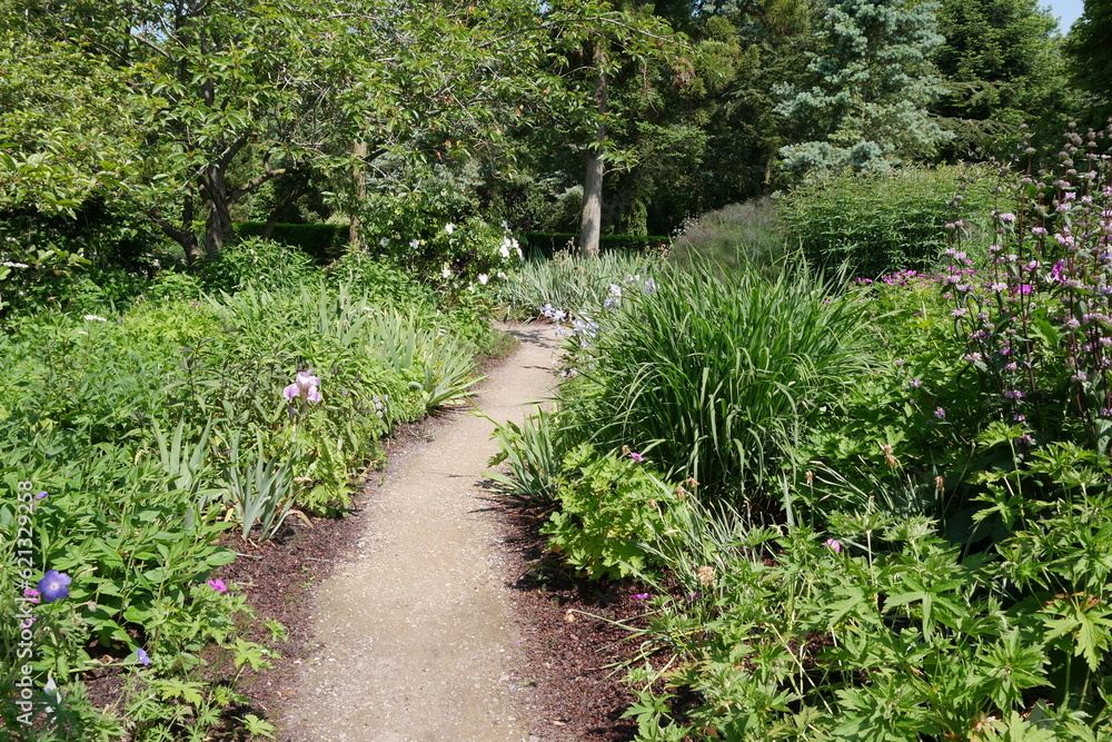 Weg durch Blumenbeet mit Stauden Weg durch Blumenbeet mit Stauden