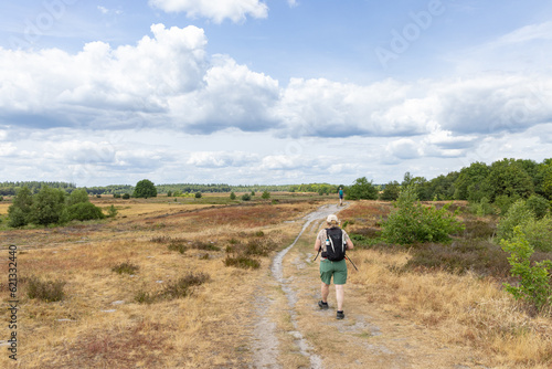 Hiking the Drenthe trail along heathland in nature park Molenveld in Exloo municipality Borger-Odoorn in Drente The Netherlands © HildaWeges