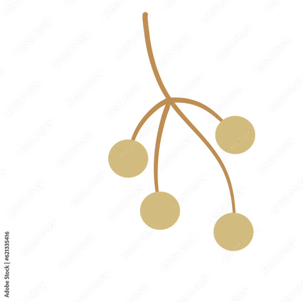 Longan With Brown Stalk Longan With Brown Stalk
