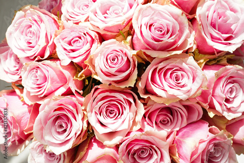 Bouquet of pink roses, top view. Beautiful, bright floral background. Close up.