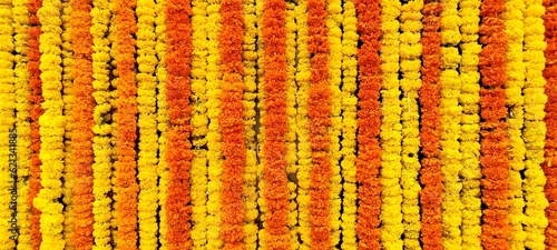 close up of a flower 