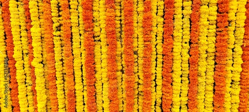 close up of a flower 