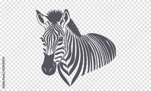 Vector graphic wild African zebra. Striped horse. Isolated background.