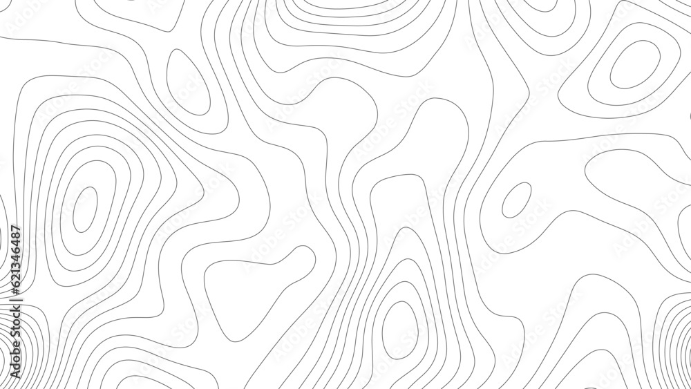 Abstract white topography vector background.  Line topography map design. The concept of conditional geographical pattern and topography. 