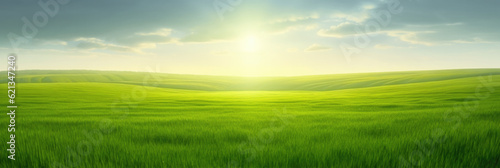 Vibrant green field of growing grass in warm sunlight, wide landscape minimalist panorama