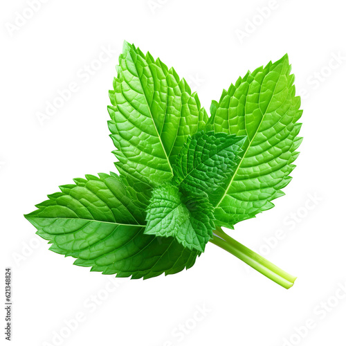 mint leaves isolated on white background created with Generative AI photo