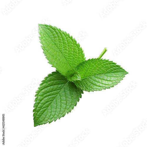mint leaf isolated on white background created with Generative AI