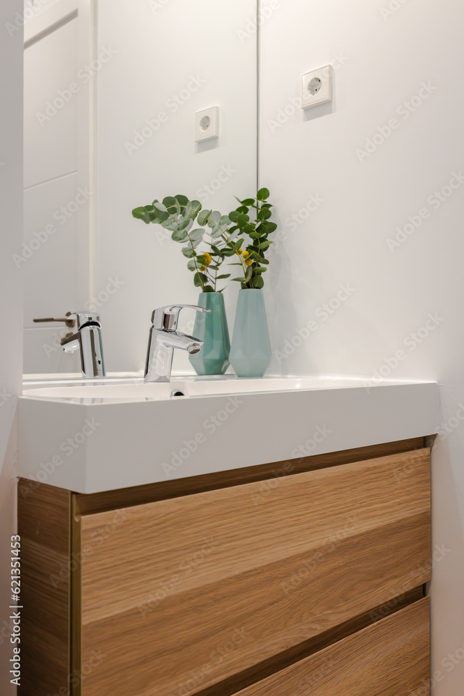 Interior decoration of the bathroom with white ceramic washbasin and faucet on a wooden cabinet with drawers and decoration with mirror on the wall and plant Interior decoration of the bathroom with white ceramic washbasin and faucet on a wooden cabinet with drawers and decoration with mirror on the wall and plant