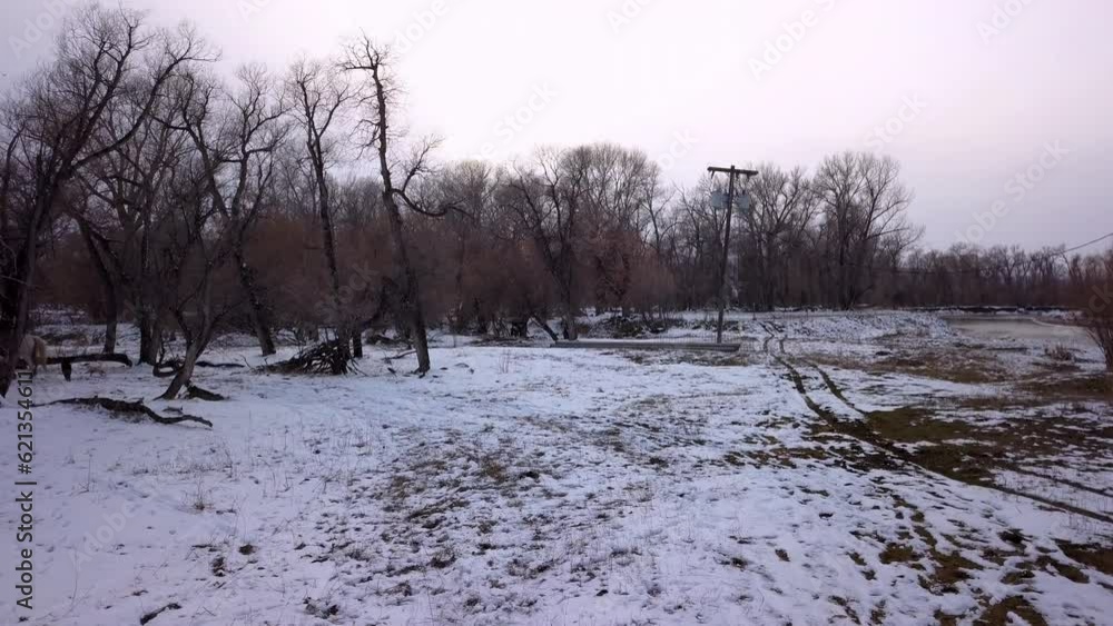 Lockdown Shot Of People With Horse And Dogs On Snow Near Bare Trees Against Sky - Billings, Montana Lockdown Shot Of People With Horse And Dogs On Snow Near Bare Trees Against Sky - Billings, Montana