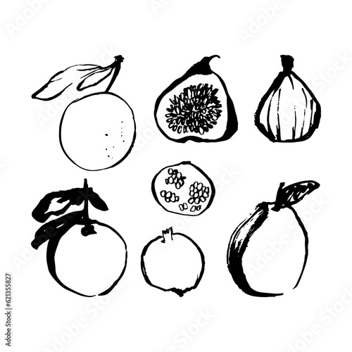 Set of fruit doodle icon. Figs, orange, pomegranate, pear. Black and white  sketch 
