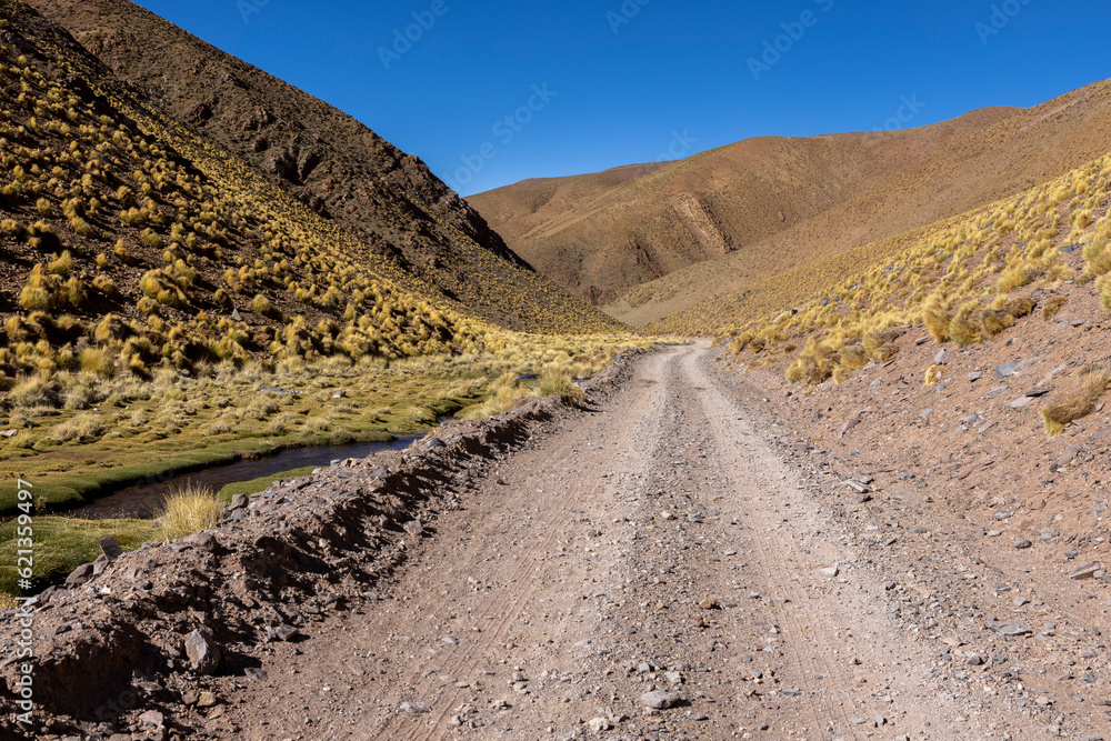 Crossing the Andes from Antofagasta de la Sierra to Antofalla