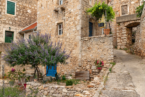 Stone houses and bell tower of the village Velo Grablje on Island Hvar in Croatia, founded in the 14th century.  photo