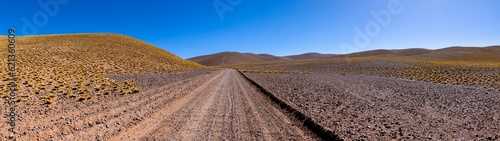 Crossing the Andes from Antofagasta de la Sierra to Antofalla - stunning landscape in the Argentinian highlands called Puna in South America - Panorama
