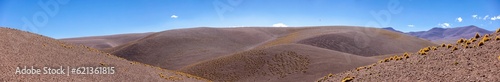 Crossing the Andes from Antofagasta de la Sierra to Antofalla - stunning landscape in the Argentinian highlands called Puna in South America - Panorama