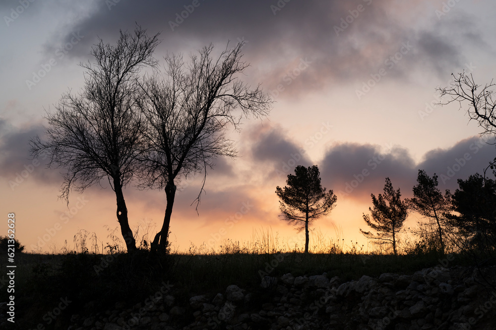 A Sunset in the Judea Mountains, Israel