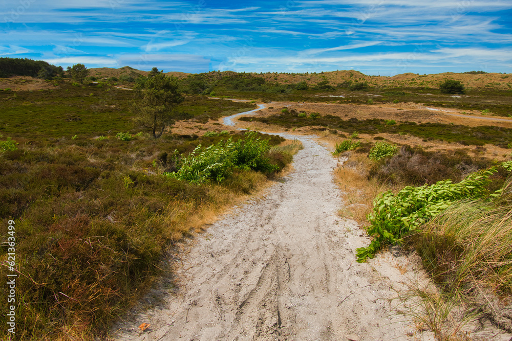Fototapeta premium Schoorlschen Dünen in Noordholland