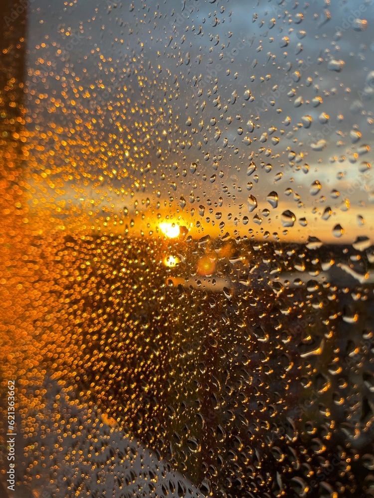 Foto Rain drops