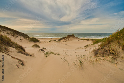 Nordseestrand bei Schoorl in den Niederlanden