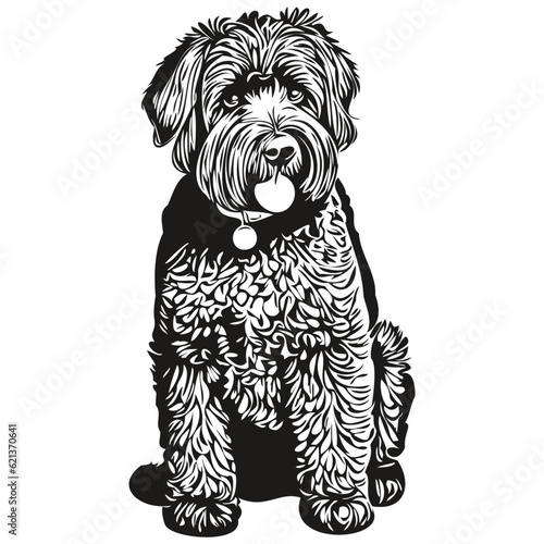 Black Russian Terrier dog hand drawn logo drawing black and white line art pets illustration realistic breed pet