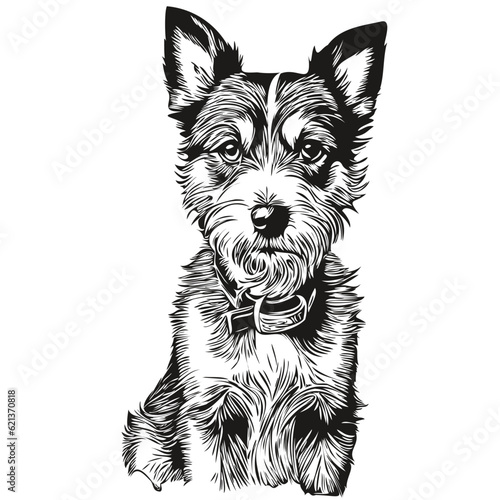 Parson Russell Terrier dog portrait in vector, animal hand drawing for tattoo or tshirt print illustration