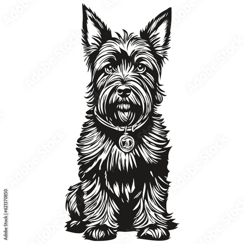 Scottish Terrier dog line illustration, black and white ink sketch face portrait in vector sketch drawing photo