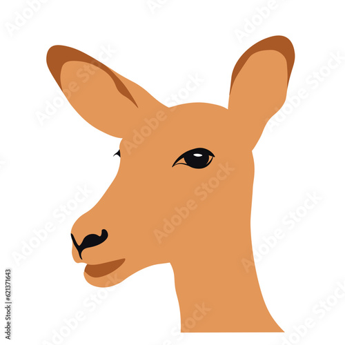 Deer head vector stock illustration. isolated on a white background.  Female roe deer.