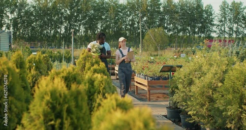 confident red-haired agronomist girl and African american colleague walking in greenhouse, talking, woman pointing at trees flowers garderner explaing how to take care of plants Slow motion Soft focus photo