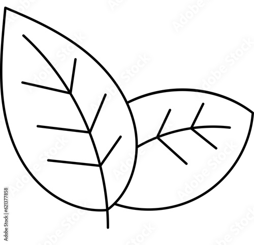 Mint Coloring Page