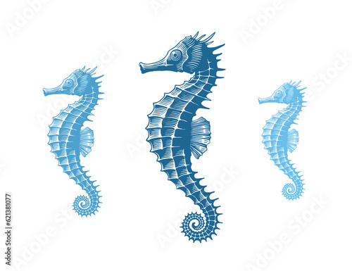 Hippocampus. Marine life. Editable hand drawn illustration. Vector vintage engraving. Isolated on a white background. 8 EPS photo