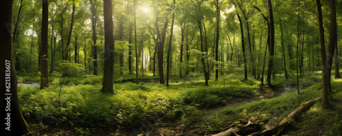 panoramic view of a tranquil forest glade  with sunlight filtering through the canopy  lush vegetation  and a sense of serenity that invites quiet contemplation