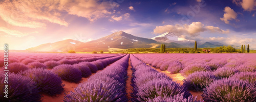 mesmerizing panoramic shot of a vast lavender field in full bloom, with rows of purple flowers stretching to the horizon, creating a sea of fragrant beauty