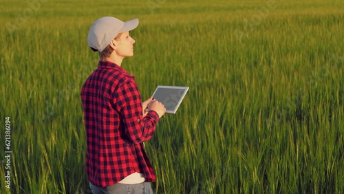 farmer field wheat  work hand tablet  farmer agriculture tablet  wheat field business digital tablet  grass agricultural woman checking control countryside tablet growing germ contract technology care