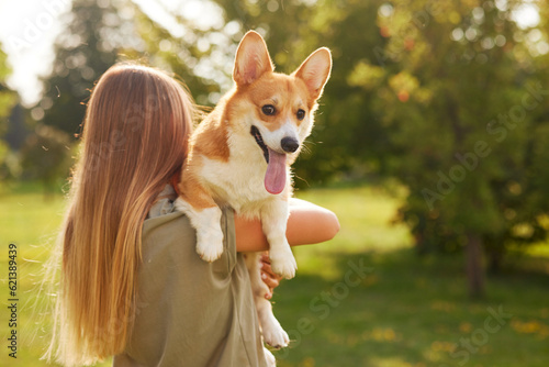 Photography a young girl holds a cheerful and funny Welsh Corgi in her arms in a park in sun