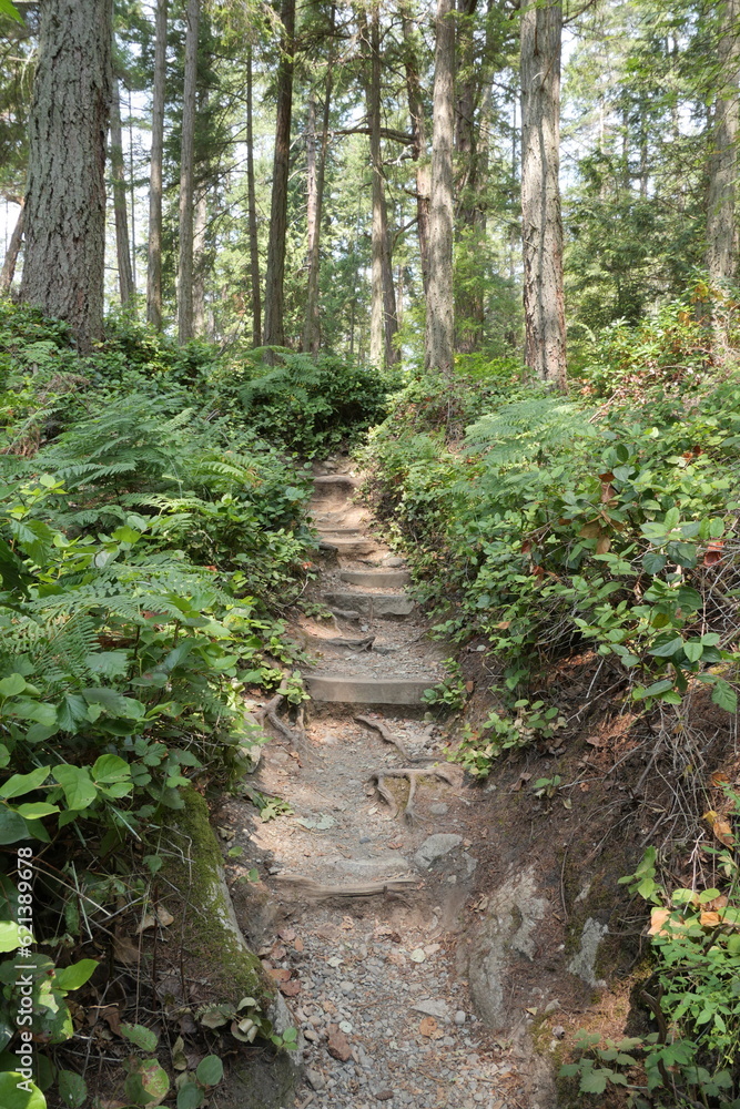 Hiking trail in the woods of Lighthouse Park in West Vancouver, British Columbia, Canada Hiking trail in the woods of Lighthouse Park in West Vancouver, British Columbia, Canada