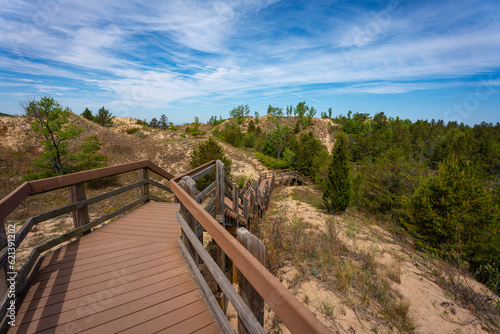 Indiana Dunes National Park with foot bridge and trees 